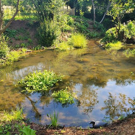 Le Clos Des Sources Изиньи-сюр-Мер Экстерьер фото